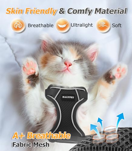 Halypet Cat Harness and Leash Set [MAX Safety 4th-Gen Upgrade] Escape Proof Adjustable Cat Leash Comfortable Soft Vest Eas...