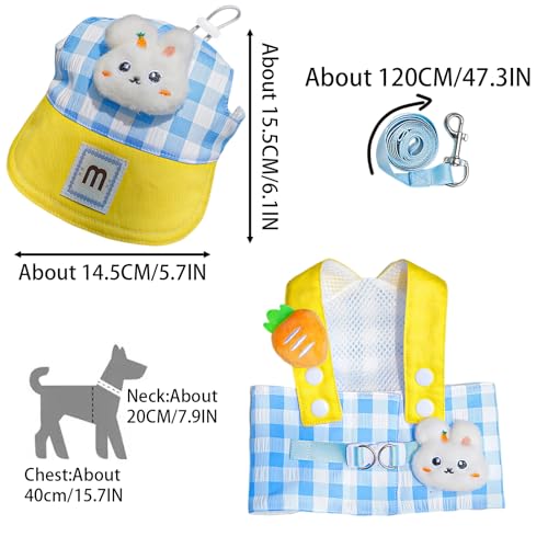 HELAIMAY Dog Harness and Leash Set with Hat,No Pull Soft Mesh Pet Harness for Small Dog and Cat,Adjustable Step in Puppy V...