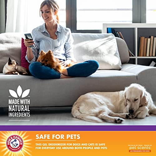 Arm & Hammer for Pets Air Care Pet Scents Deodorizing Gel Beads, Pet Odor Eliminator for Rooms Closets and Small Spaces wi...