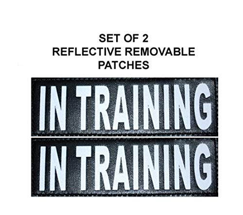 Service Dog in Training Vest - Adjustable No Pull Dog Harness with Patches. in Training Dog Vest for Service Dogs Small, M...