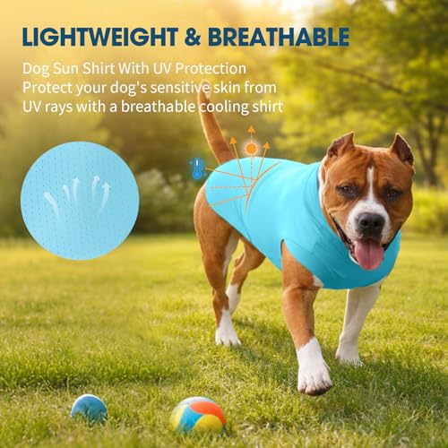 ROZKITCH 2 Pack Cooling Dog Shirt, Breathable Sun Protection T-Shirts, Pet Summer Vest, Quick Dry Dog Summer Clothes Beach...