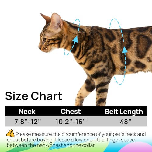 Cat Harness and Leash Set - Escape Proof Adjustable Cat Harness, Comfortable Soft Lightweight, Use Safe & Easy, Walking Tr...