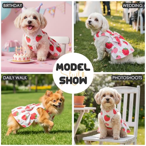BAOBICUTE Dog Dress Harness Dresses Leash Set for Small Dogs Cute Girl Dog Clothes with Bowknot Puppy Outfits for Shih Tzu...