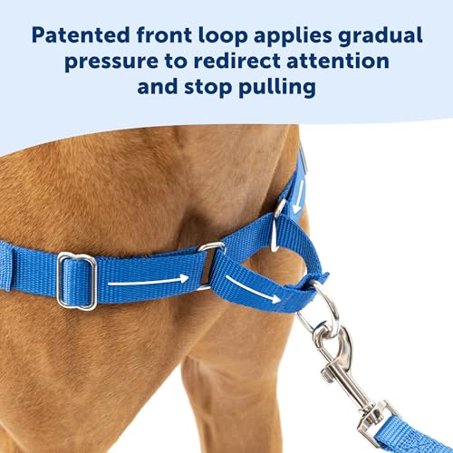 PetSafe Easy Walk Harness for Dogs - Pull-Free Walks - Patented Martingale Loop Design - Front Chest Leash Attachment - Ad...