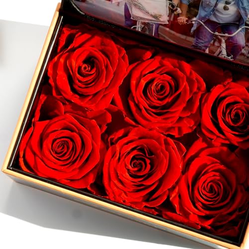 ADDWel Preserved Rose Gift Box with 4x6 Photo Frame, Romantic Flower Gifts for Women, Wife or Girlfriend, 6 Eternal Roses ...