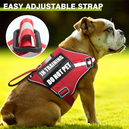 Service Dog Harness and Leash Set, Training Dog Vest with 10 Dog Patches, Emotional Support Therapy Dog Vest Harness for S...