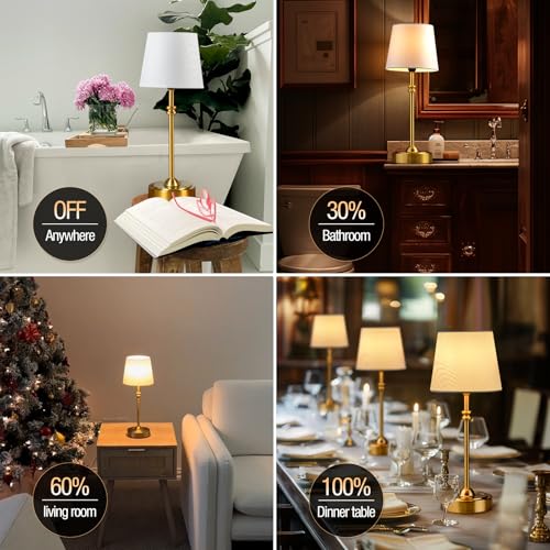 ONEWISH Cordless Lamp-Battery Operated Table lamp, 4000mAh Rechargeable, Stepless Dimmable, Small Touch Bedside Lamp with ...