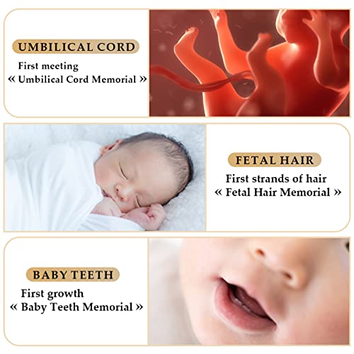 DOERDO Baby Tooth Box Umbilical Cord Keepsake Box Hair Collection Box with 3 Glass Bottles Kids Souvenir Storage Box to Ke...