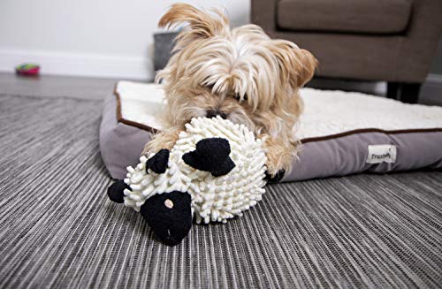 goDog Fuzzy Wuzzy Lamb Squeaky Plush Dog Toy, Chew Guard Technology - Assorted, Small