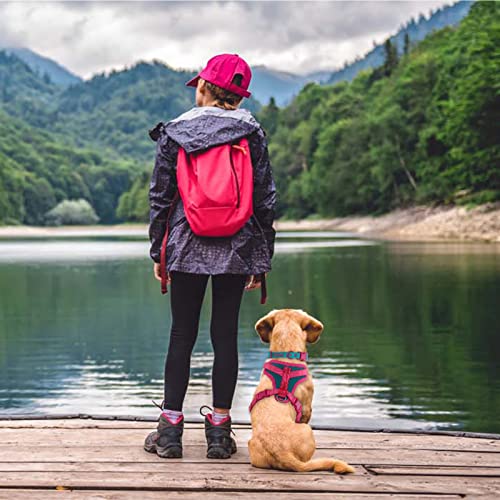 Wolfone No Pull Dog Harness Adjustable Soft Padded Pet Vest with Control Handle Adorable Daily Harness for Dogs（Viridian G...