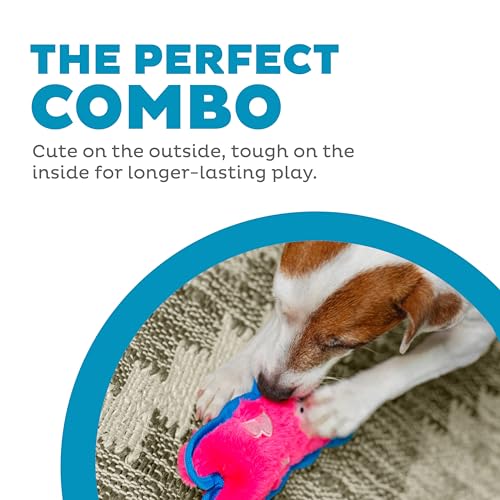 Outward Hound Durablez Minis – Squeaky Plush Dog Toy, No Stuffing for Less Mess, Interactive & Tough, Jumbo Squeaker, Pupp...