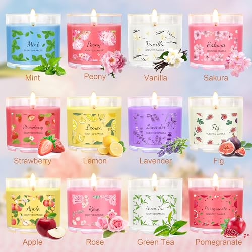 Scented Candles for Home, 12 Pack Candle Set for Women, Small Soy Candles Bulk, Mothers Day Gifts from Daughter - Mini Can...