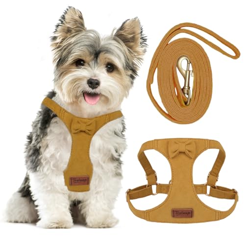 Tewiwap No Pull Small Dog Harness and Leash Set, Adjustable Puppy Harness for Extra Small XS XXS Girl Dogs, Soft Suede No ...