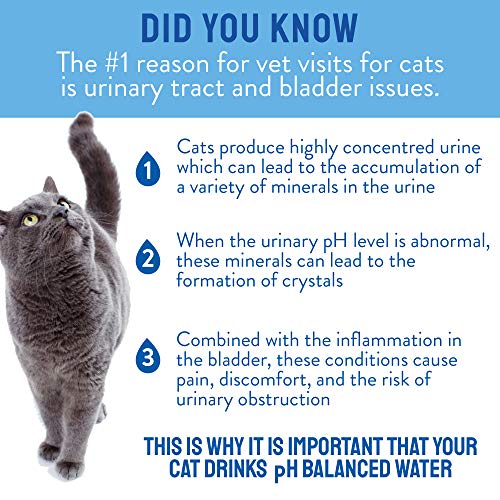 CATWATER by VETWATER | ph-Balanced and Mineral-Free Cat Water | Clinically Proven Urinary Formula | Helps Prevent Cat Urin...