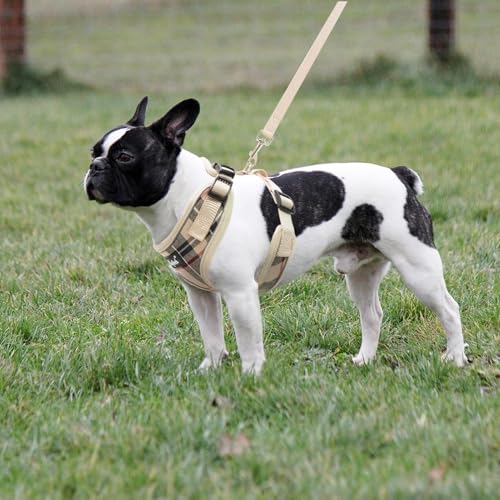 PUPTECK Soft Mesh Dog Harness and Leash Set Pet Puppy Cat Adjustable Reflective Padded Vest No Pull Harnesses, Beige, M