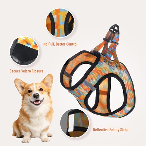 EVERKING Breathable Mesh No-Pull Dog Harness & Leash Set for Small Dogs, Reflective Trim for Safety – Comfortable Vest Des...