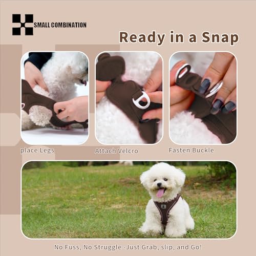 SMALL COMBINATION Adjustable Dog Harness with Leash, Reflective Mesh, No-Pull Design，Matching Lead Rope (Brown, XXXS)