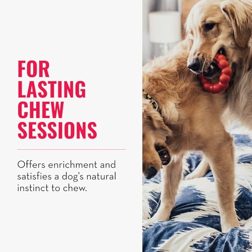 KONG Ring - Natural Rubber Ring Toy for Healthy Chewing Habits - Chew Toy Supports Dog Dental Health - Dog Toy Supports In...