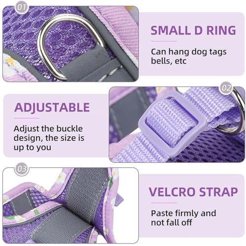 Petank Dog Harness for Small Medium Dogs No Pull, Puppy Harness and Leash Set, Mesh Adjustable Breathable Light Vest for W...