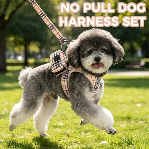 PAWCHIE Dog Harness and Leash Set, Step in No Pull Soft Pet Harness, Reflective Adjustable Puppy Vest for Small Medium Dog...