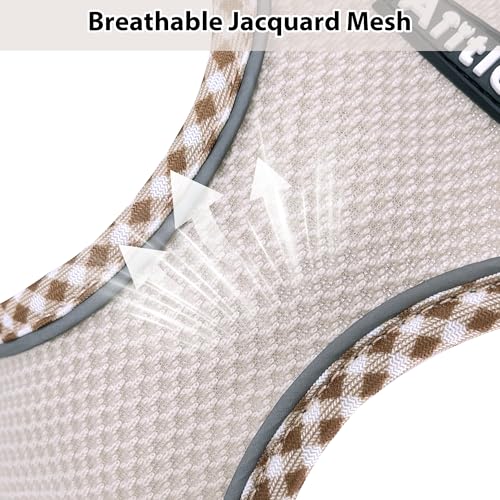 AIITLE XXS Dog Harness & Leash Set - Breathable Reflective No-Choke Small Dog Harness for Teacup Puppies, Indoor/Outdoor U...
