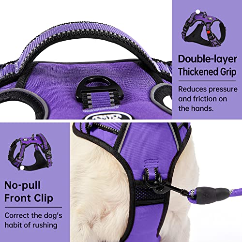 IVY&LANE No Pull Dog Harness for Medium Dogs, Dog Vest Harness with Leash, Safety Belt and Storage Strap, Fully Adjustable...