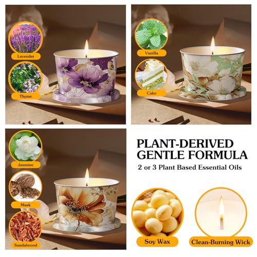 3-Pack Aromatherapy Candle Set - Travel-Size Scented Candles 2.5 oz Each | 10+ Hour Relaxing Long-Lasting Burn | Fragrant ...