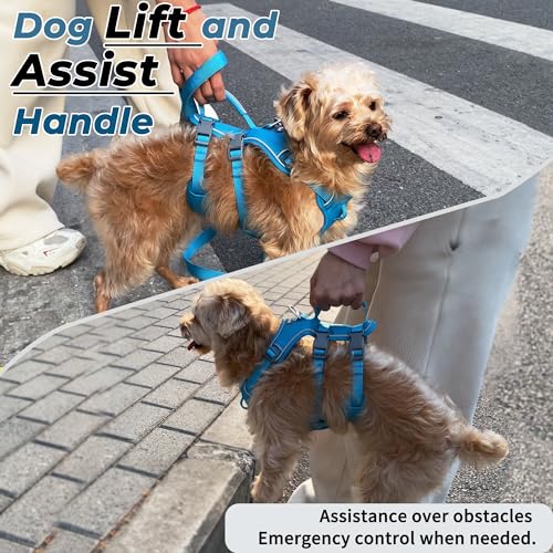 Wuffley Escape Proof Dog Harness and Leash Set, Lightweight Dog Harness with Lift and Assist Handle, No Pull Reflective Pe...