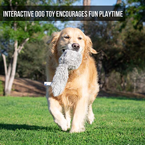 Hyper Pet Doggie Tail Interactive Plush Automatic Dog Toys, Durable, Wiggles, Vibrates, and Barks, Batteries Included, for...