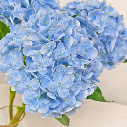 Cherica 6 Pcs Real Touch Blue Hydrangea Artificial Flowers with Stems, Fake Silk Flowers for Outdoors, Artificial Flowers ...