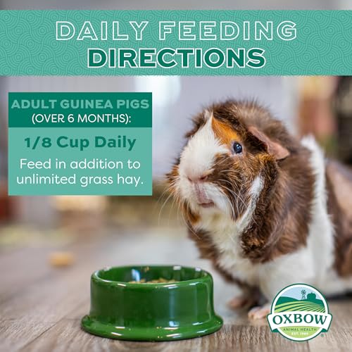 Oxbow Essentials Guinea Pig Food, Adult Guinea Pig, Made with Oxbow Timothy Hay, Pet Food Pellets with Vitamin C, Small An...
