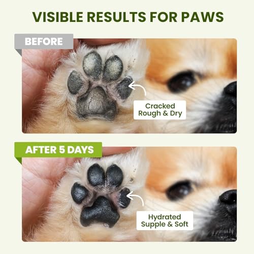 PawSono Lick-Safe Dog Paw & Nose Balm with Coconut Oil | All-Natural Moisturizer & Soother for Dry, Cracked Pads & Snout |...