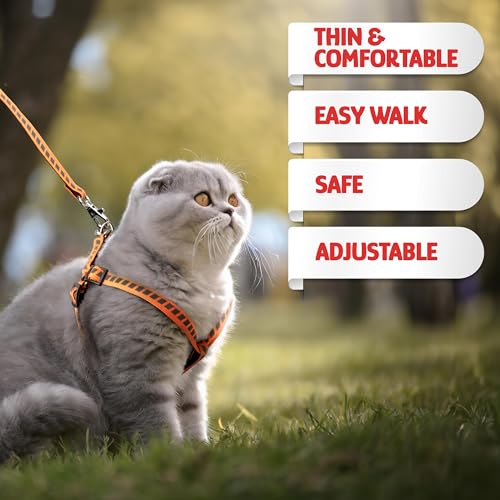 Filbert Cat Harness and Leash Set with Reflective Strip, Thin Cat Harness Escape Proof with Leash, Step-in, Adjustable, In...