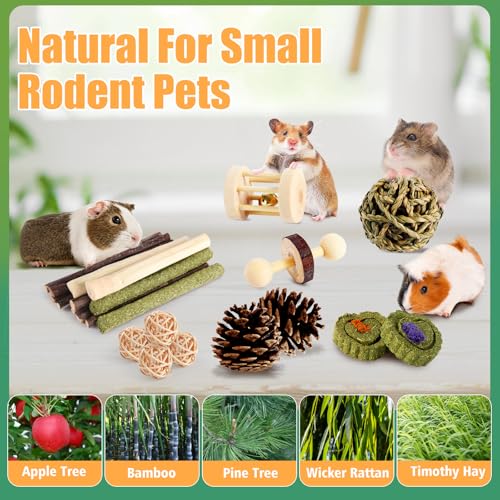 Kyouki Hamster Toys Guinea Pig Toys Set with Tunnel, Chewable Apple Wood & Natural Timothy Hay - Enrichment Chew Toys for ...