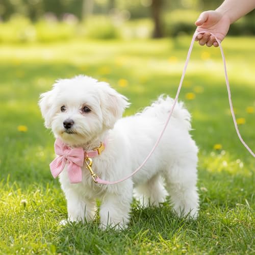 2pcs Dog Collar and Leash Set with Bowtie Cute Small Dog Collar Harness Leash Set Adjustable Breathable Soft Padded for Sm...
