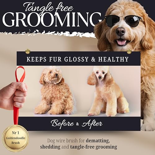 Bixy Pixy Dog Slicker Brush - Large - Protective Ball Tipped Pins Massages Pet Skin - Professional Groomer Dog Brush for G...