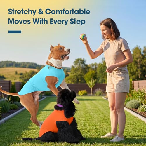 ROZKITCH 2 Pack Cooling Dog Shirt, Breathable Sun Protection T-Shirts, Pet Summer Vest, Quick Dry Dog Summer Clothes Beach...