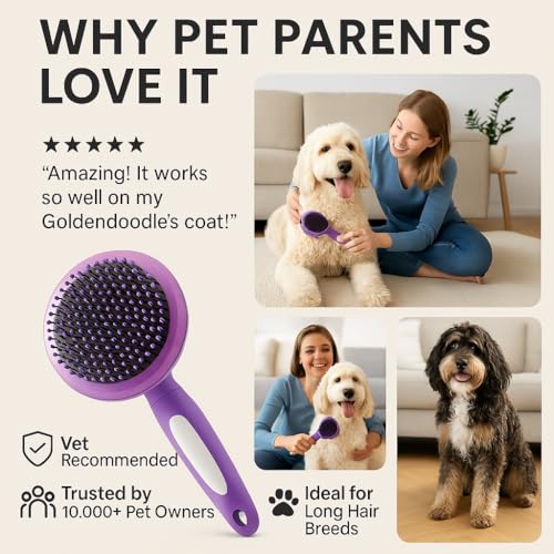 Round Bristle Pet Brush for Dogs and Cats - Soft Dog Brush for Grooming Short or Long Hair - Gentle Tool for Sensitive Ski...