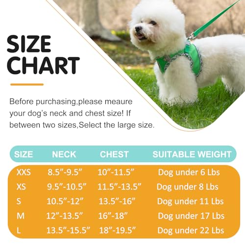 TomteNisse Dog Harness and Leash Set, No Pull Pet Harness for Small Dogs Easy Walking,Soft Breathable Small Dog Harness,Ad...