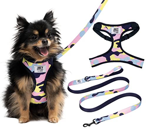 Juicy Couture Colorful Camo Dog Harness and Leash Set – Adjustable Puppy Harness with Puppy Leash & Mesh Padding Dog Harne...
