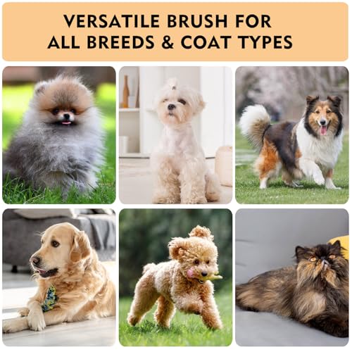 Dog Slicker Brush for Shedding & Grooming - Professional Dog Brush and Cat Brush with Coated Tips & Air-Cushion Design, De...