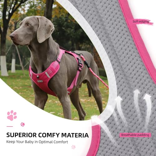 UNA MASCOTA Dog Harness No Pull Adjustable Reflective,for Medium and Large Small Dog with Leash 59.06in (Fuscia, XL)
