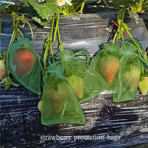Jexila 100PCS Organza Bags 4''X6'' Olive Green Small Mesh Gift Bags with Drawstring for Jewelry, Party Favor, Candy, Fruit...