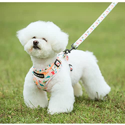 Adjustable Dog Harness and Leash Set for Girl Air Mesh Dog Vest Harness 5Ft Pet Training Leash with Soft Handle Pet Escape...