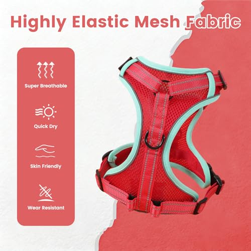 PAWDAY No-Pull Dog Harness with Dog Leash Breathable Mesh Adjustable Soft Padded Pet Vest Reflective for Small/Medium/Larg...
