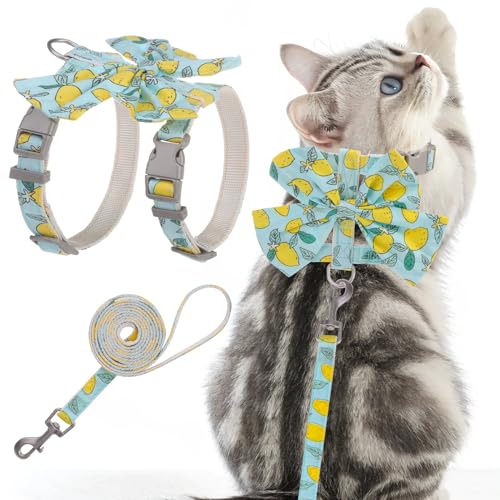 PAWCHIE Cat Harness and Leash Set with Bow Knot,Cats Escape Proof - Adjustable Daisy Floral Kitten Harness Soft Outdoor Wa...