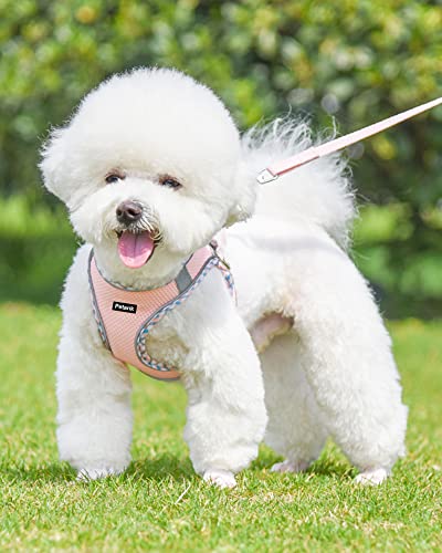 Petank Dog Harness for Small Medium Dogs No Pull, Puppy Harness and Leash Set, Step in Dog Harness for Walking, Running, T...