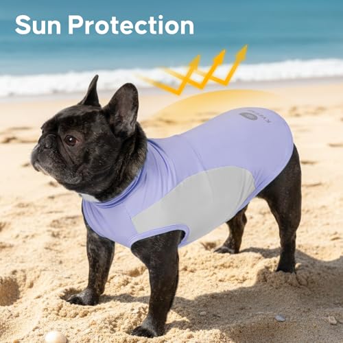 KYEESE 2Pack Dog Cooling Shirt, Breathable Dog Shirt for Small Medium Dogs Girl Boy, Sun Protection Reflective Pet Vest, L...