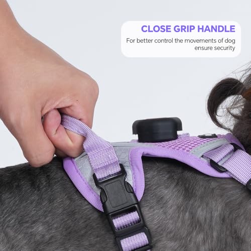 Cat Harness and Leash Set with AirTag Holder: Upgraded Escape Proof Vest with Lead for Small Dog Puppy Large Cat Walking，S...