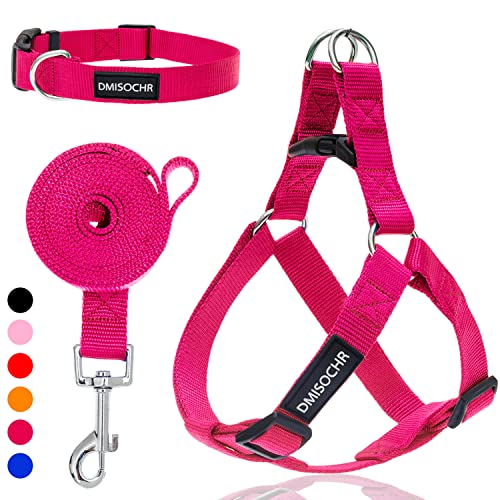 No Pull Dog Harness - Adjustable Step-in Harness & Leash Set for Small, Medium, Large Dogs - Escape Proof Soft Pet Harness...
